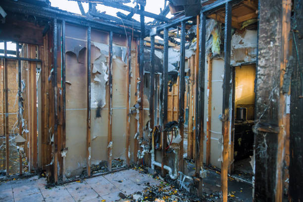 Professional Fire Damage Removal technician working in Grasonville, MD